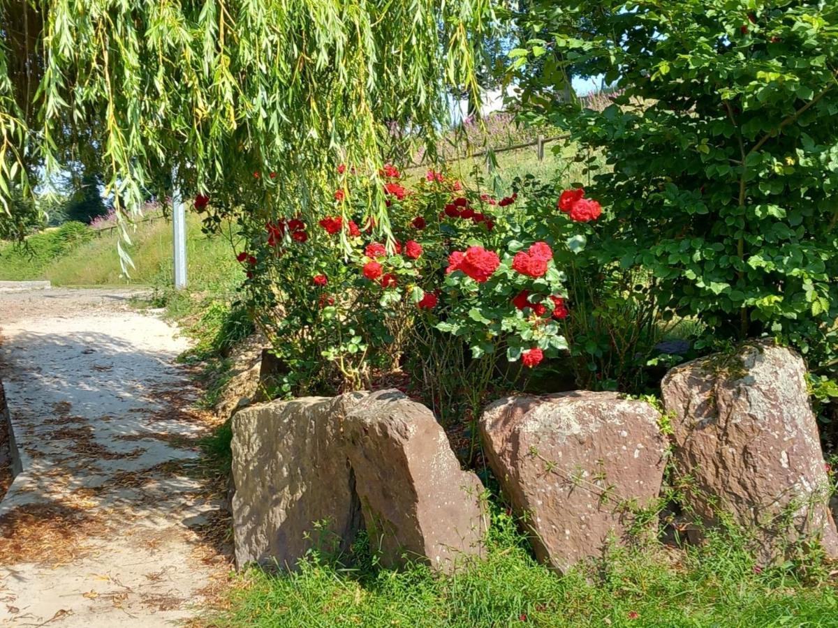 A La Memoire De Merlin & Spa Saint-Malon-sur-Mel Luaran gambar