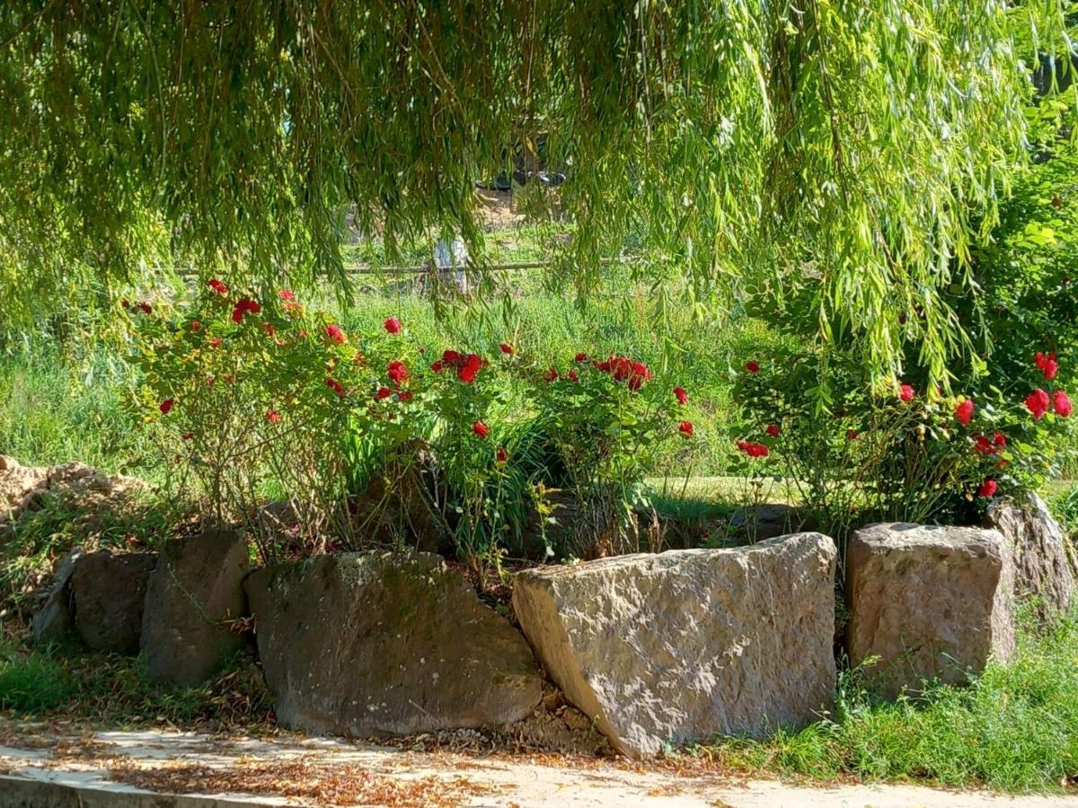 A La Memoire De Merlin & Spa Saint-Malon-sur-Mel Luaran gambar